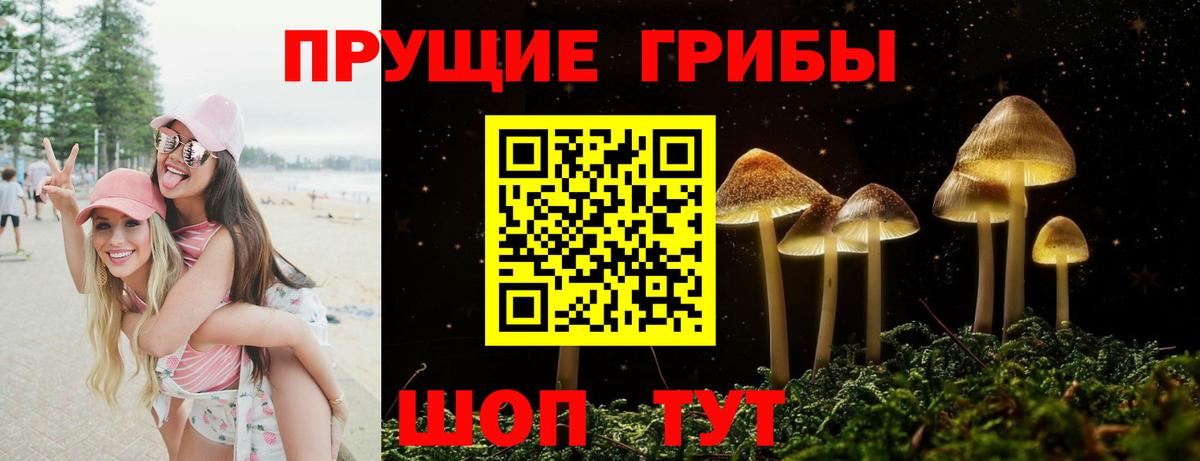 Галлюциногенные грибы Magic Shrooms  Вход с VPN  Касимов 